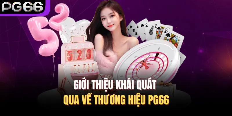 Giới thiệu khái quát qua về thương hiệu PG66
